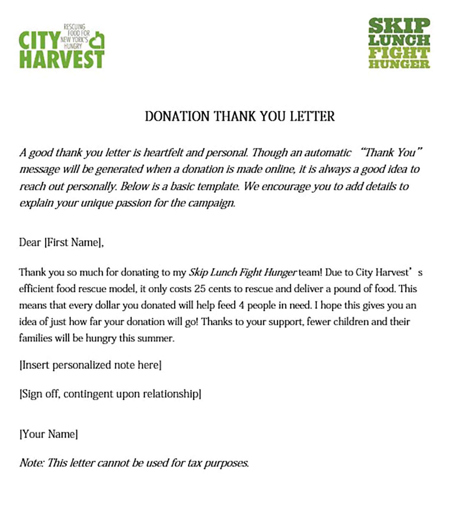 Thank You For Donation Letter Template from moussyusa.com
