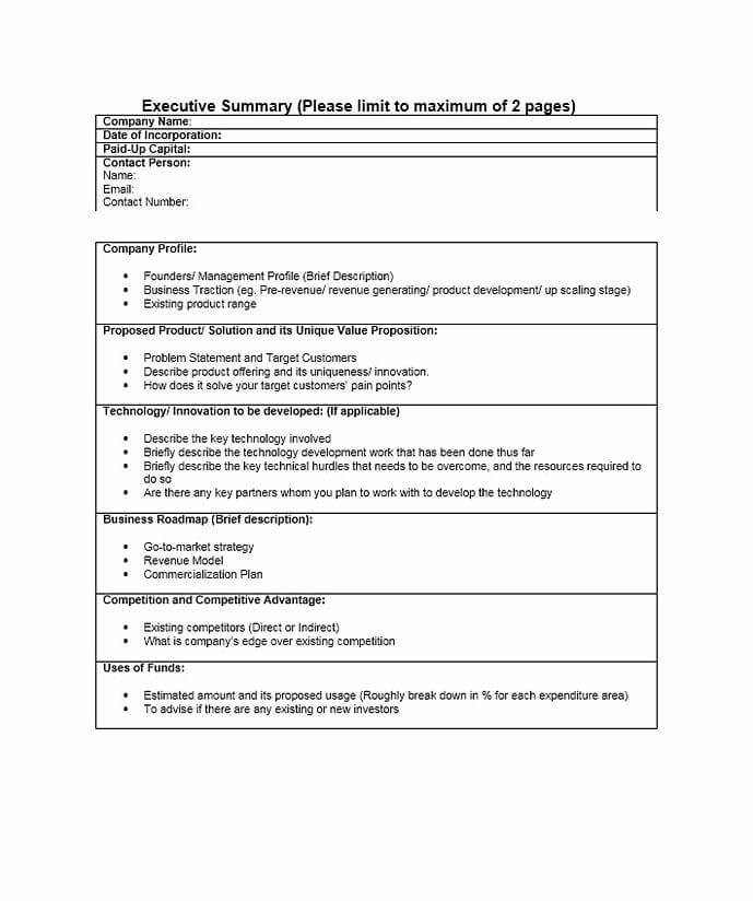 Executive Summary Template 29