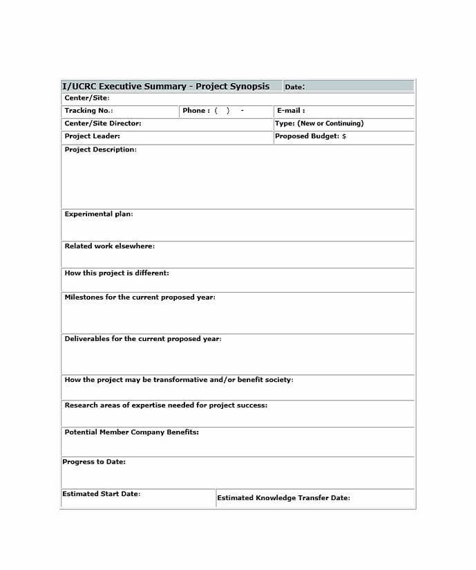 Executive Summary Template 3