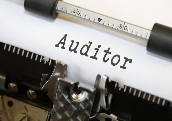 Auditor