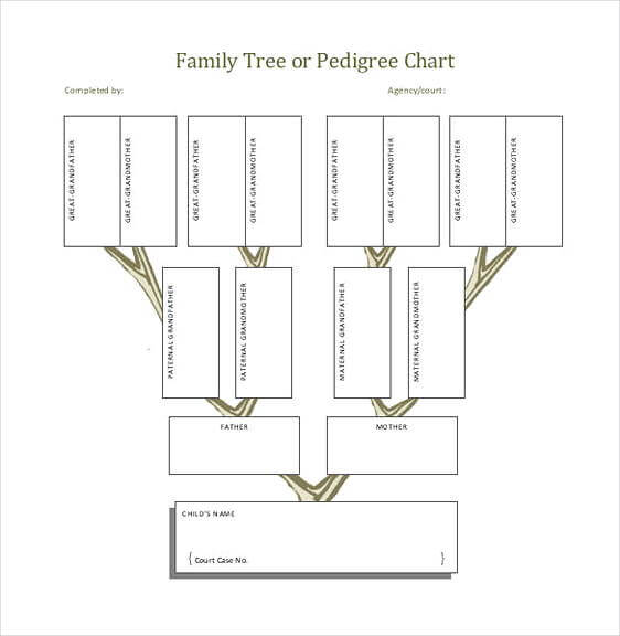 Family Tree or Pedigree Chart