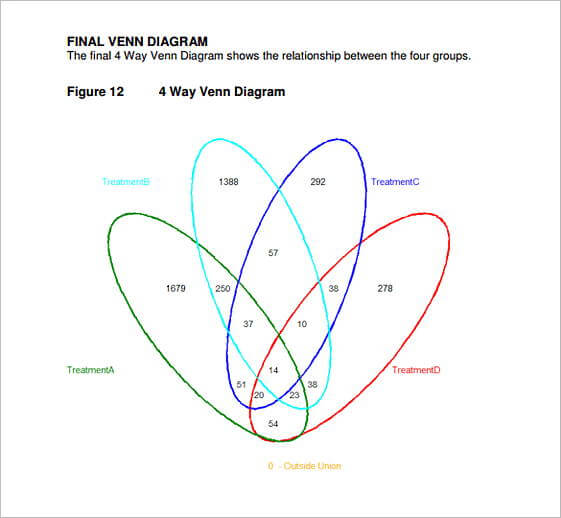 Final 4 Way Venn Diagram templates PDF