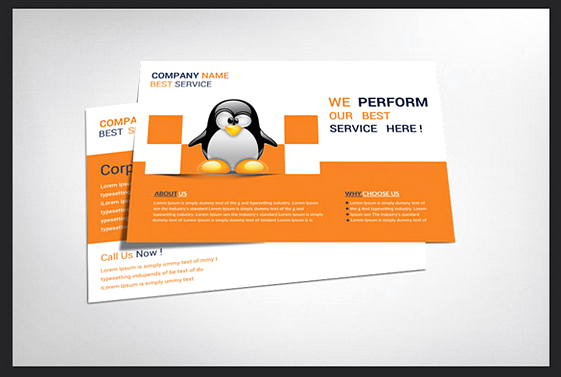 Penguin Company Postcard Free Psd templates