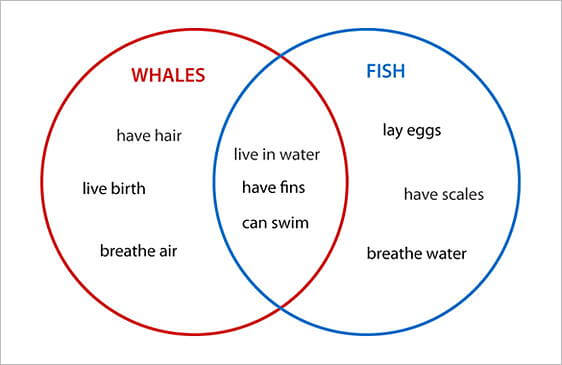 Printable Animal Venn Diagram Sample