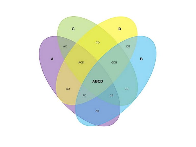 20+ Free Download Venn Diagram Template | Mous Syusa