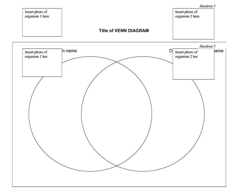 venn diagram template 26