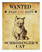 Funny Cat Wanted Poster Sample