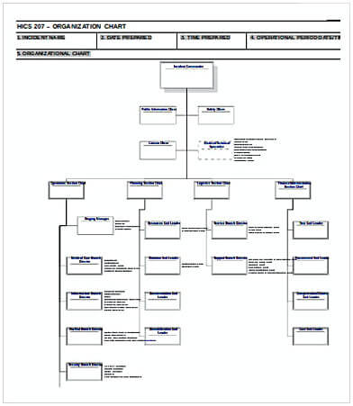 Hospital Organization Chart Template