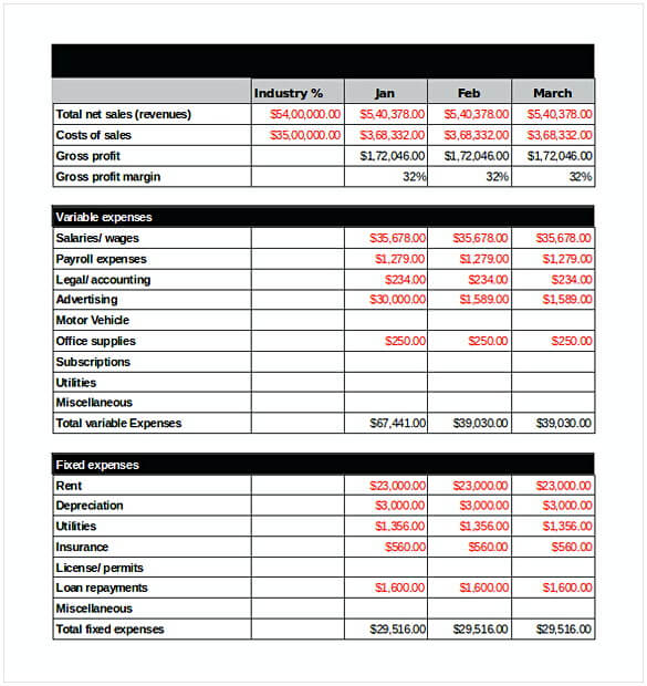 Income Projection Statement Template XLS