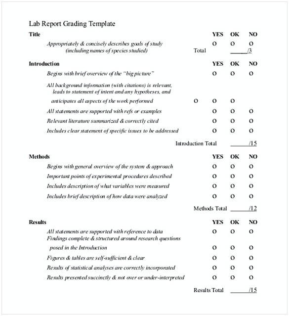 Lab Report Grading Template