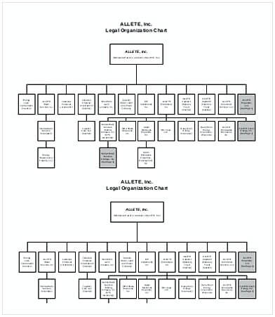 Legal Organization Chart Sample