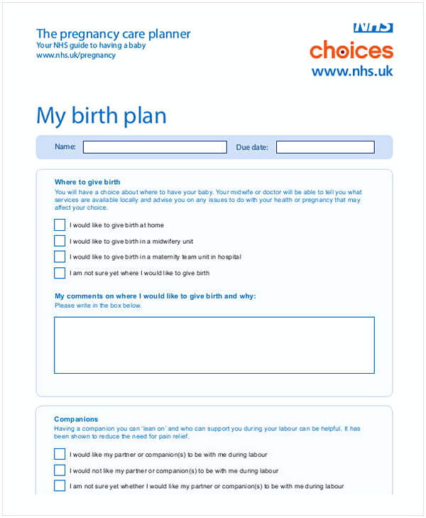 Pregnancy Birth Plan Template