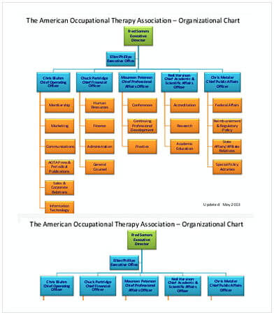Staff Organization Chart Sample