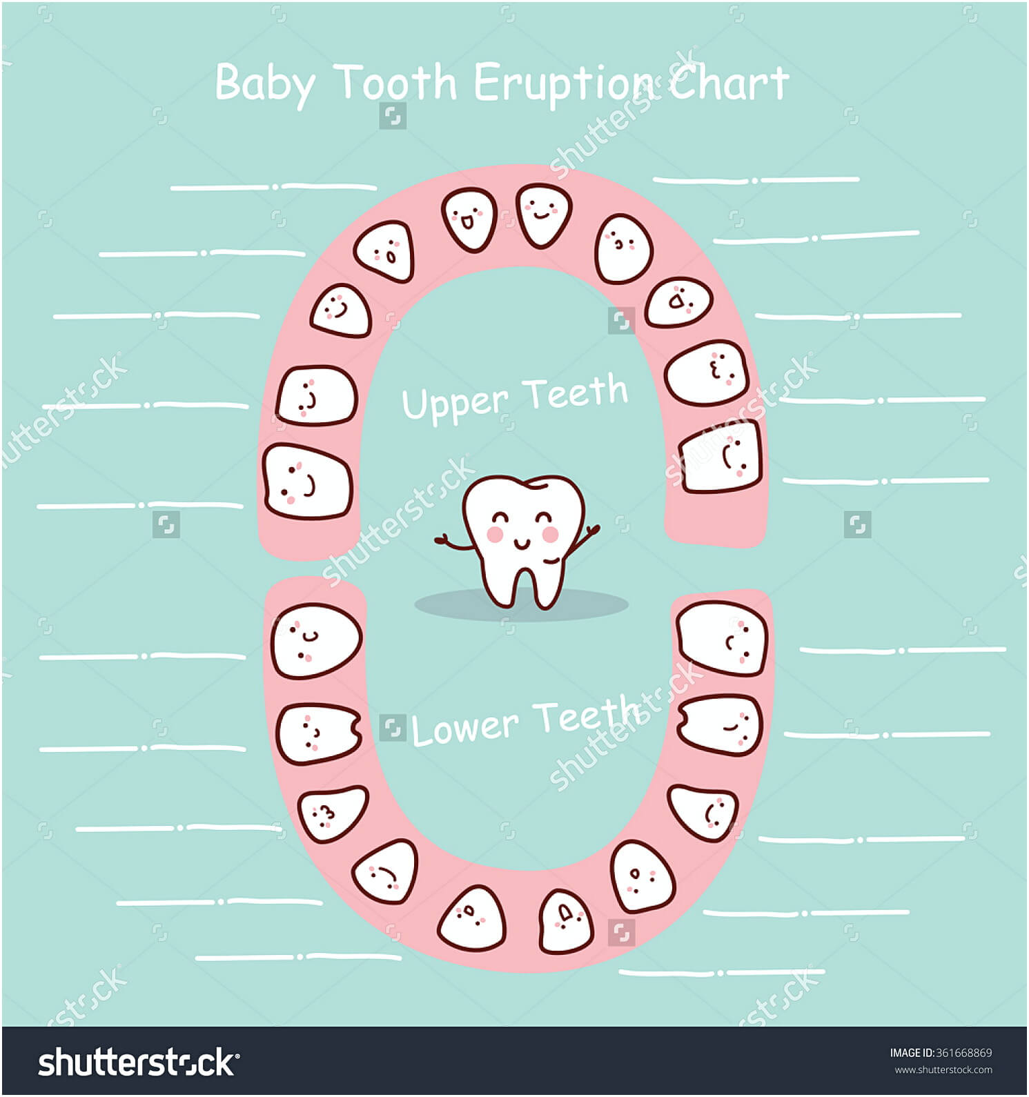 baby teeth chart 018