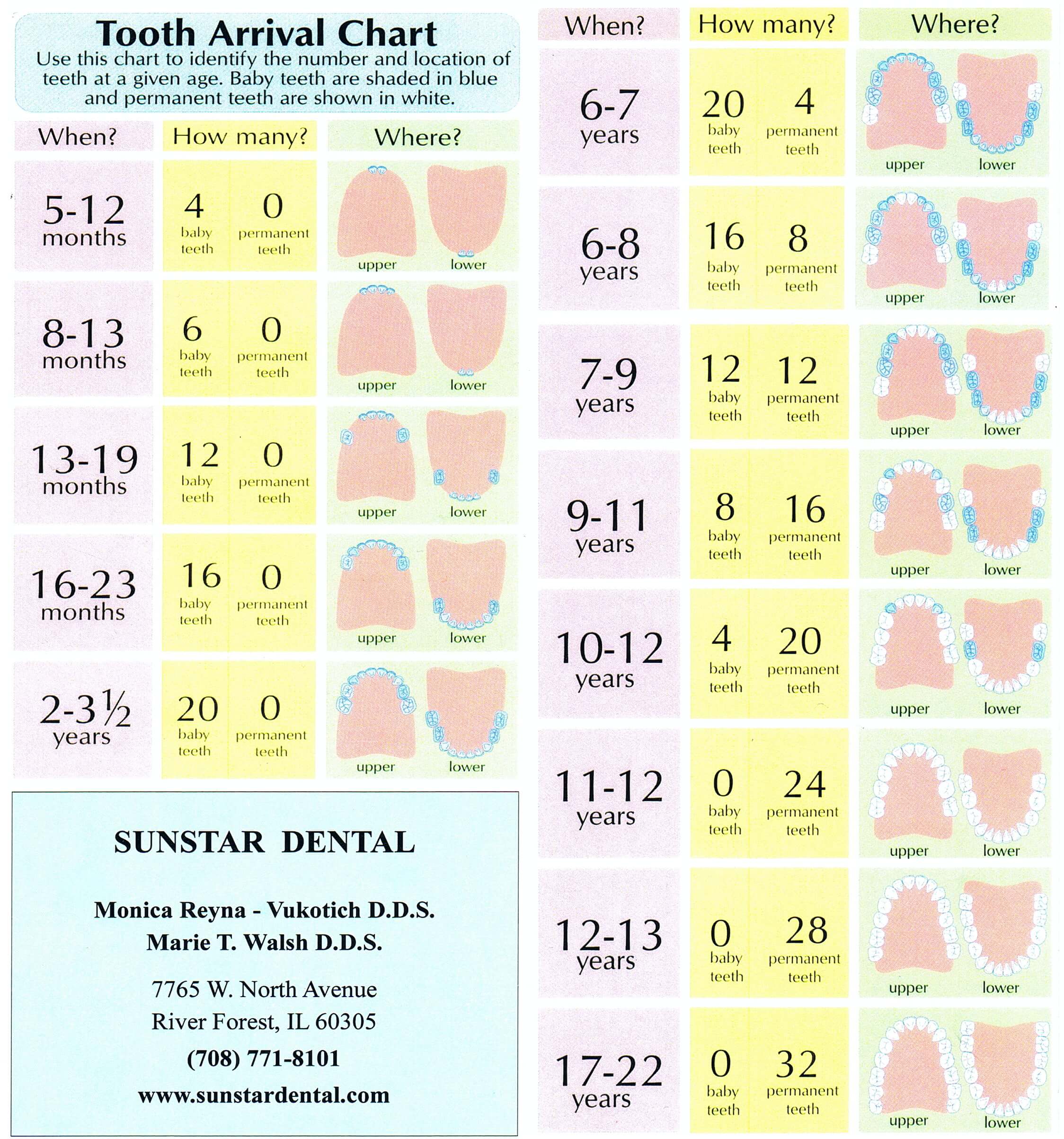 baby teeth chart 022