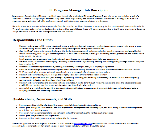 IT Program Manager Job Description