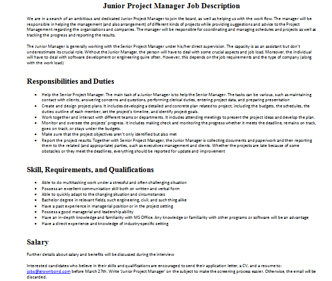 Junior Project Manager Job Description