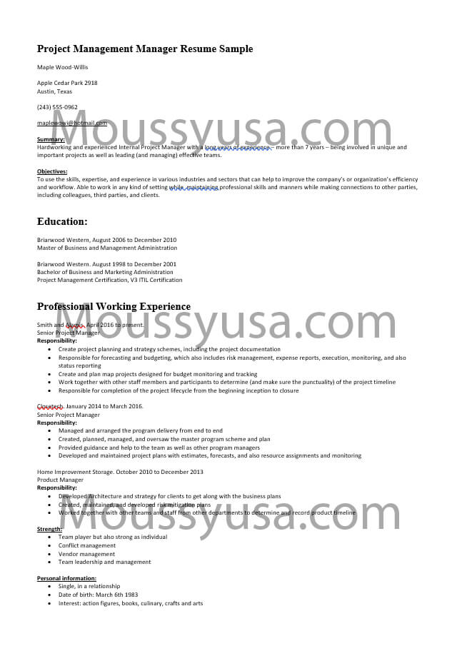 Project Management Manager Resume Template Sample