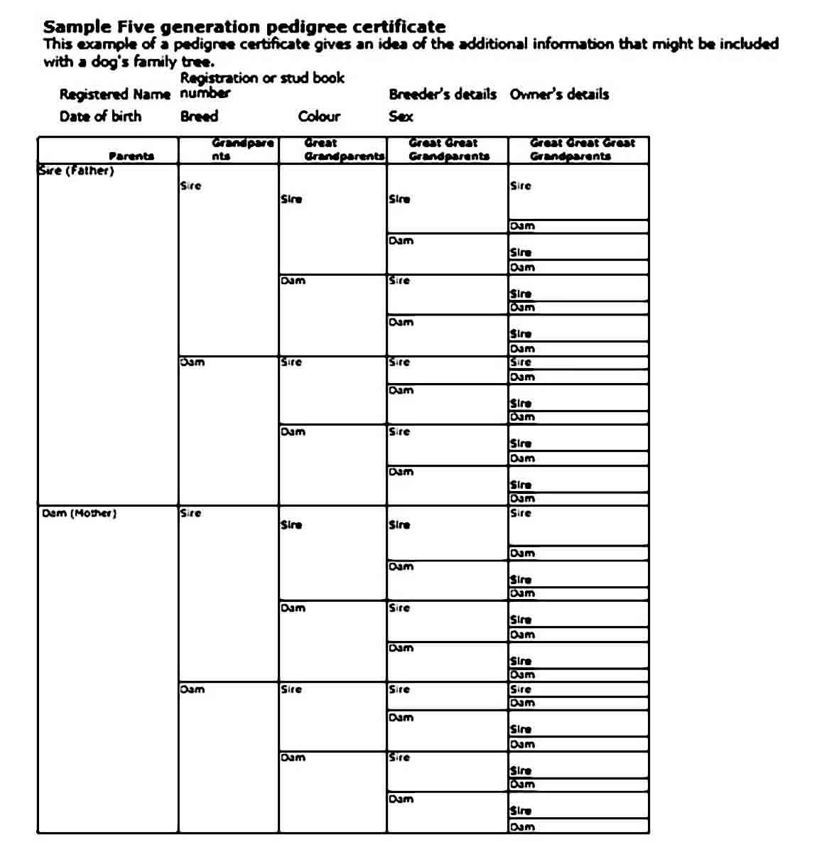 Generation Family Tree