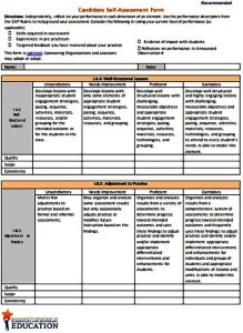 Assessment Form in PDF Sample | Mous Syusa