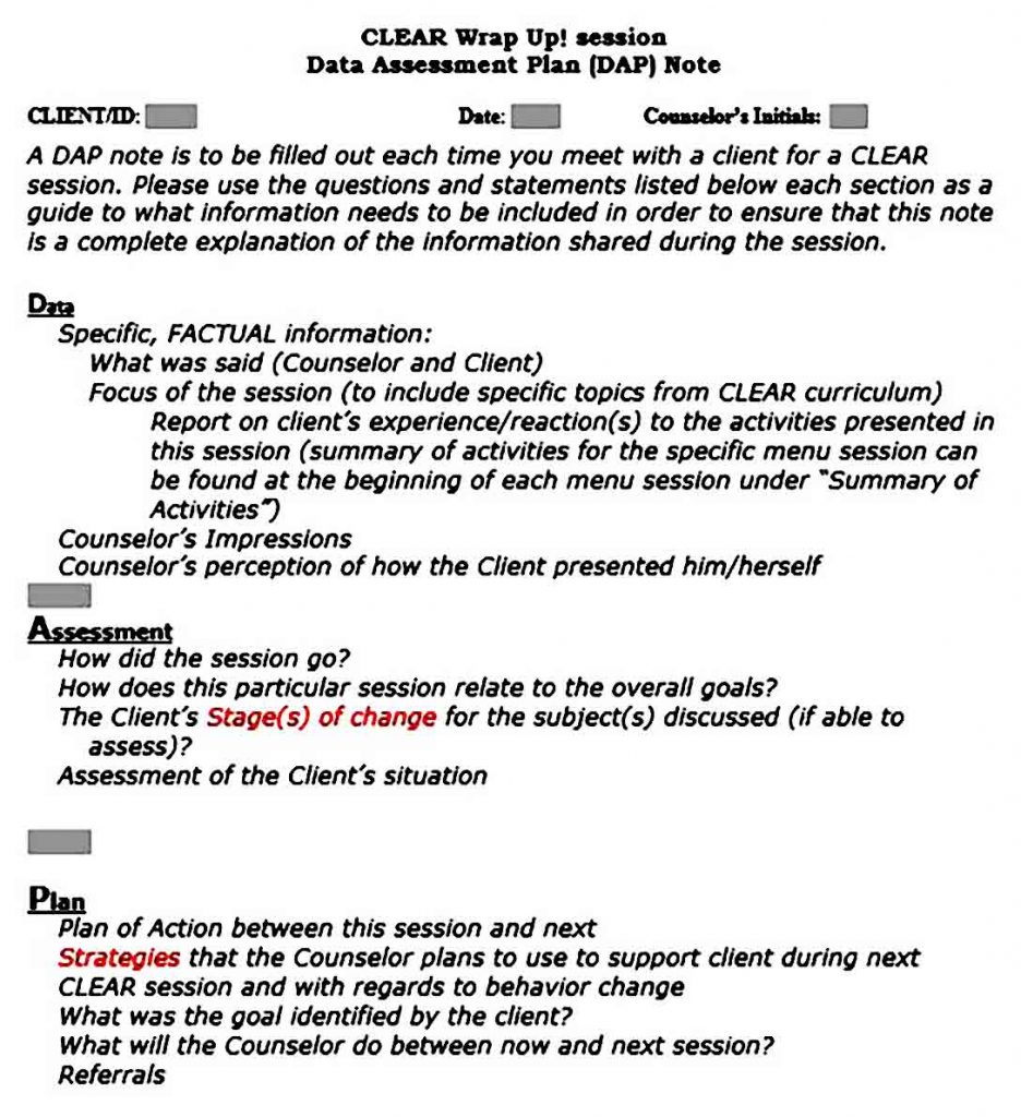 Dap Notes Template