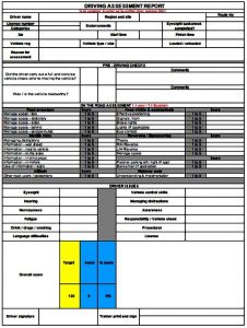 Assessment Form in PDF Sample | Mous Syusa