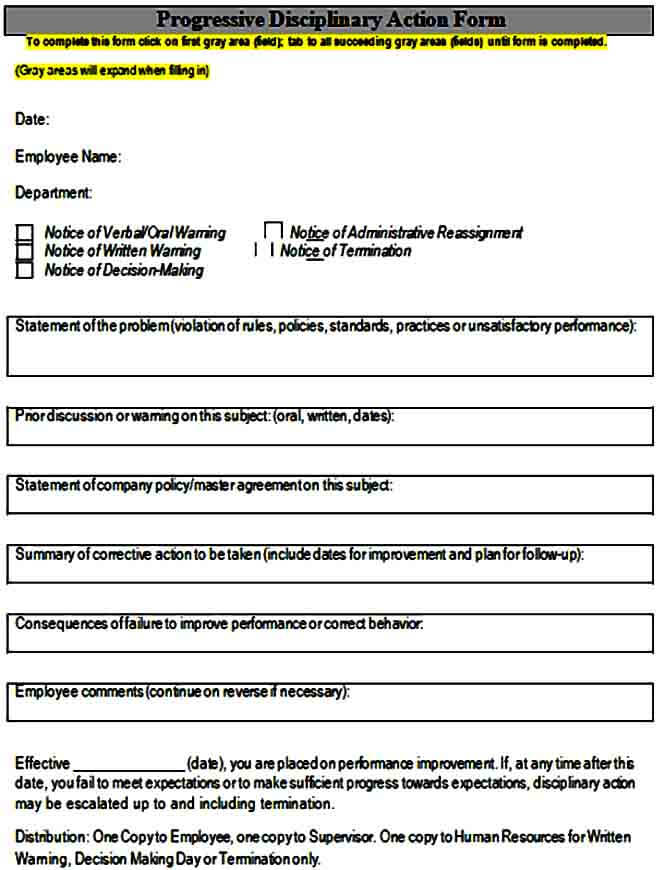 Employee Progressive Disciplinary Action Form