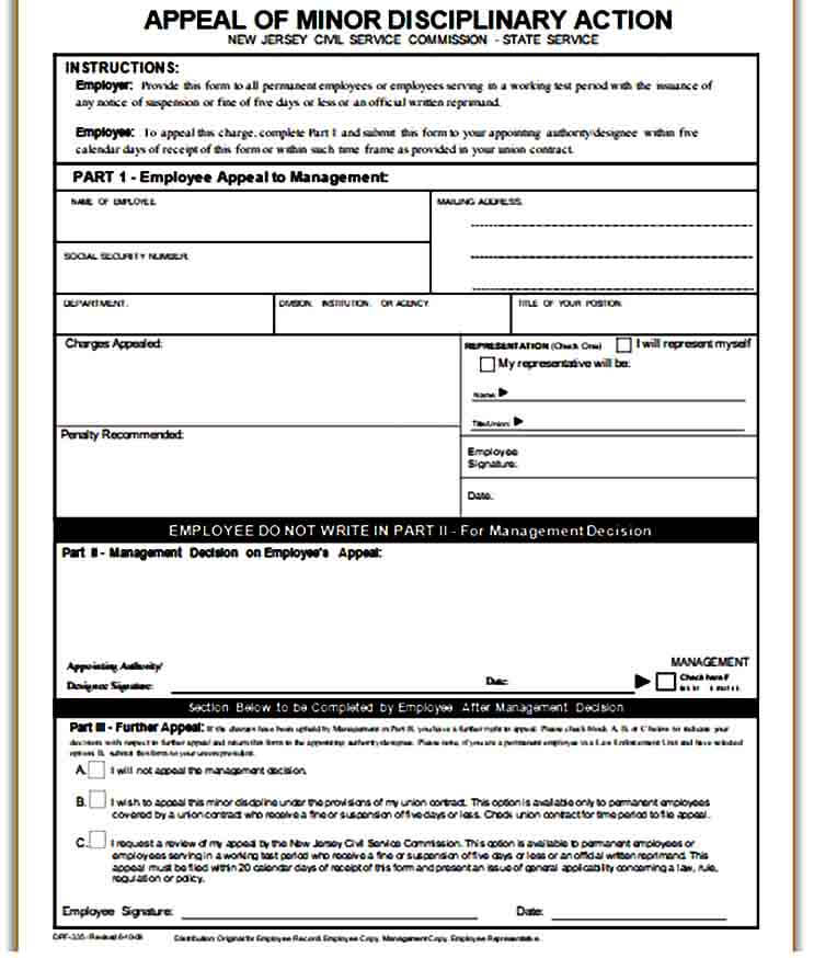 Example of Employee Write Up Form