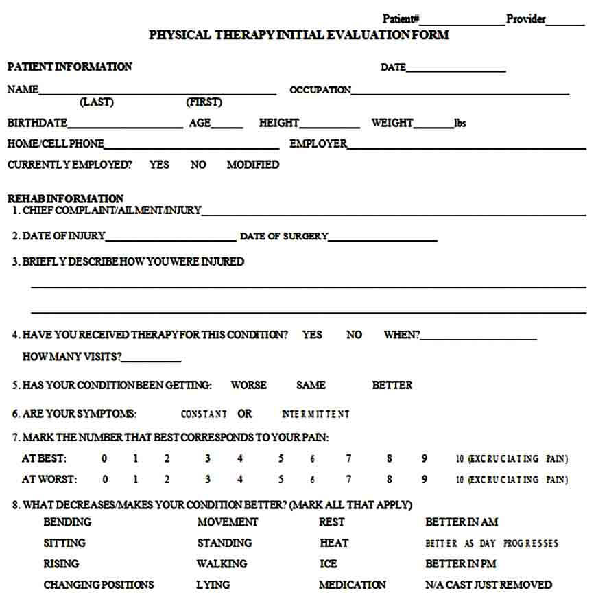 Physical Therapy Evaluation Form