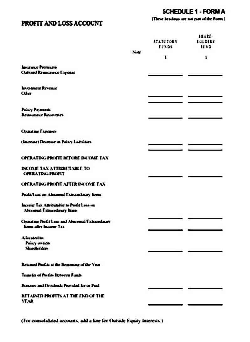 Profit and Loss Account templates