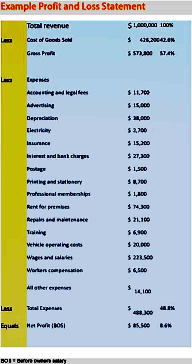 Profit and Loss Statement