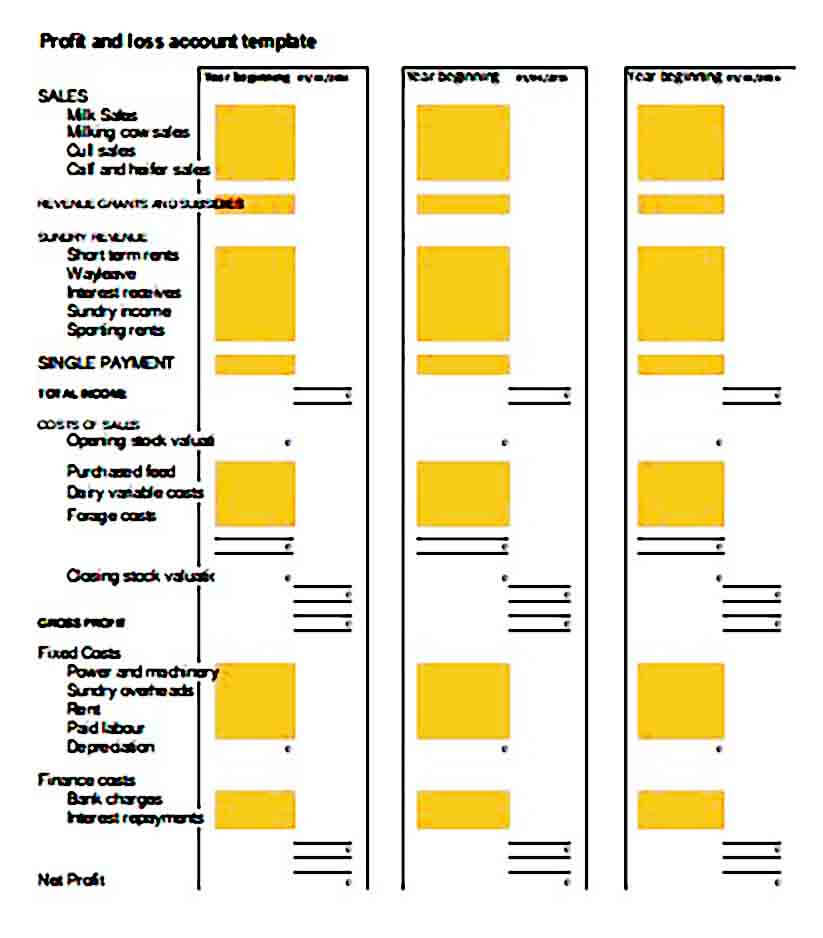 Simple Profit and Loss templates