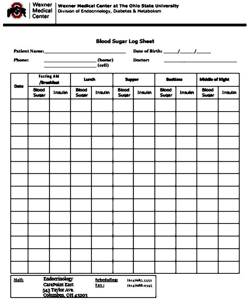 Printable Daily Blood Glucose Log Sheet