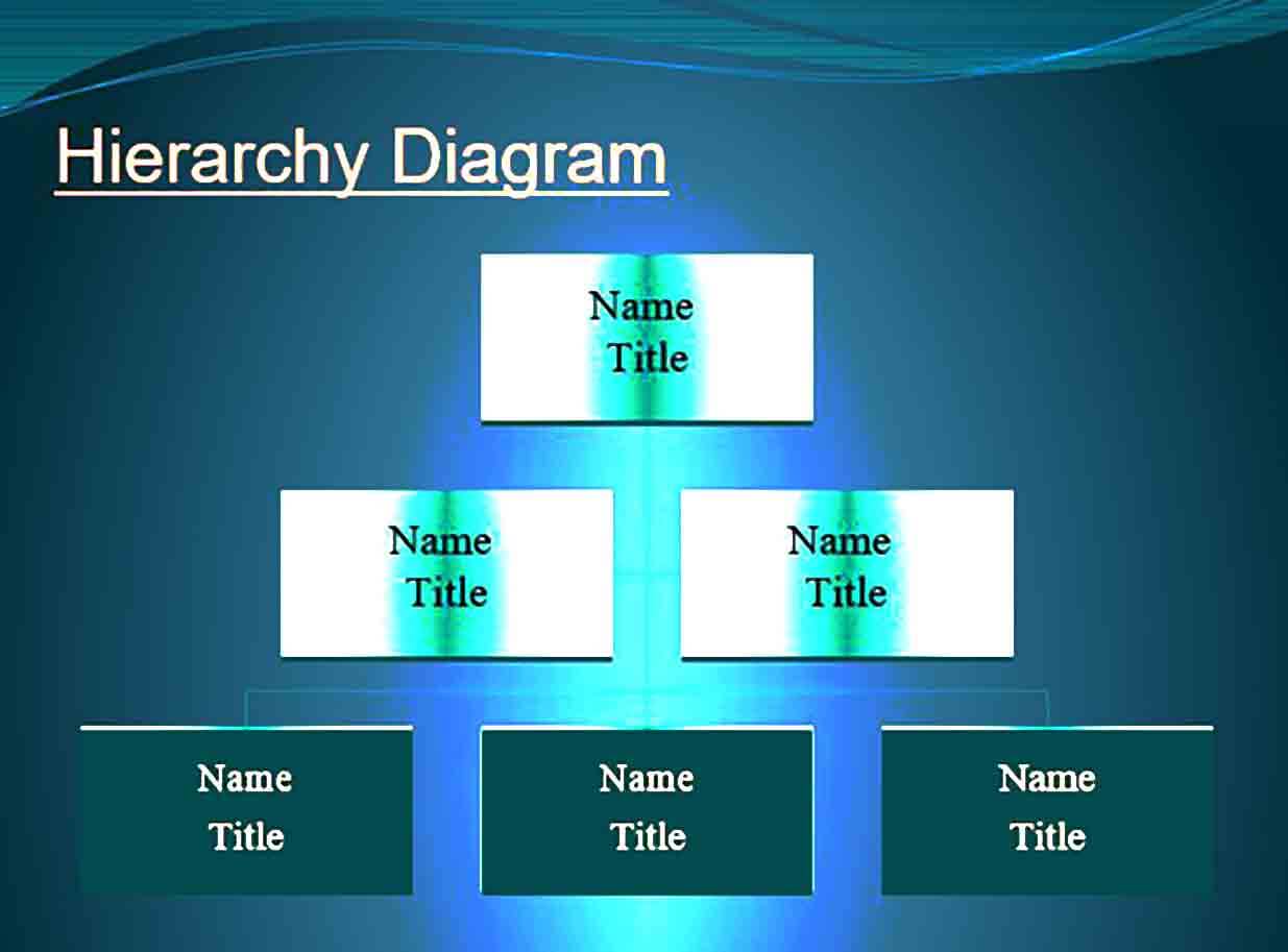 company organization chart