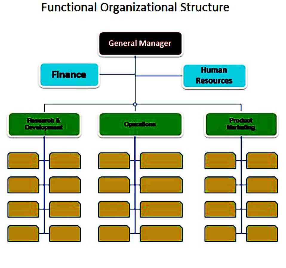 functional organizational structure chart