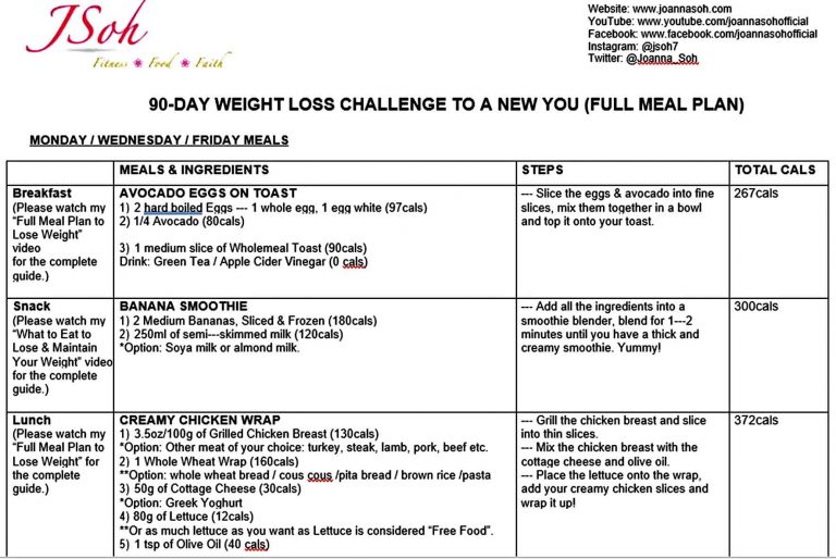 90-day-weight-loss-plan-template-mous-syusa