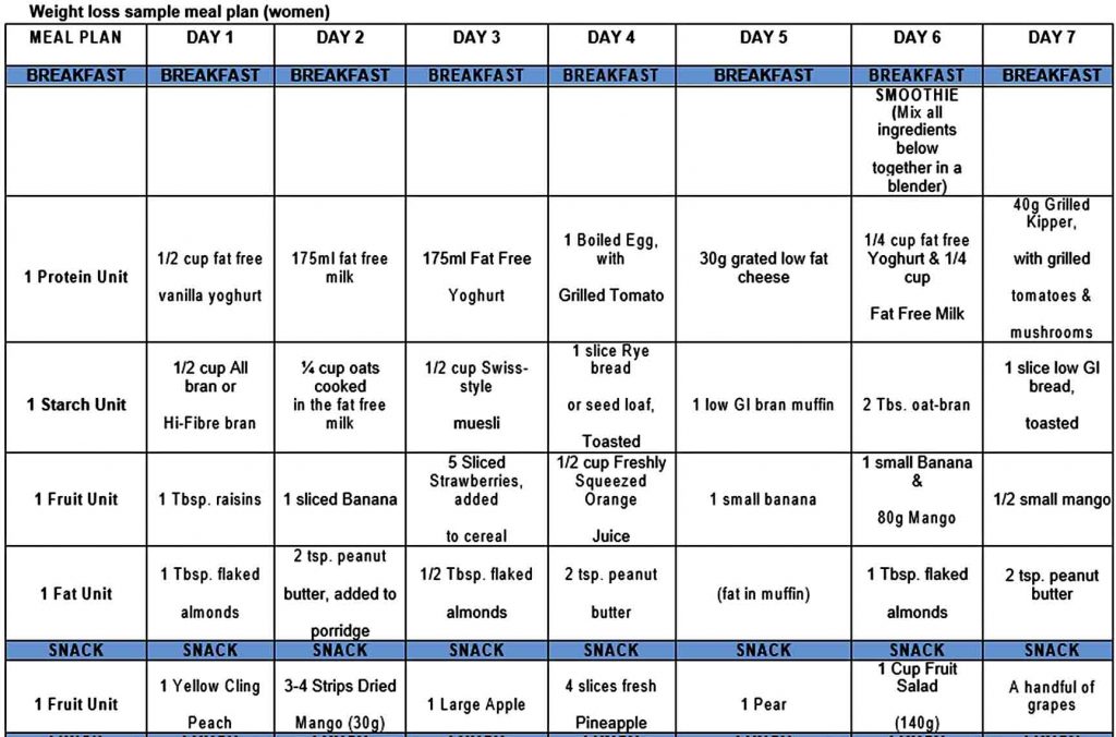 90 Day Weight Loss Plan Template Mous Syusa