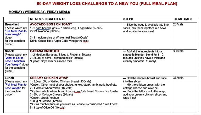 90 Day Workout Plan Template | Mous Syusa