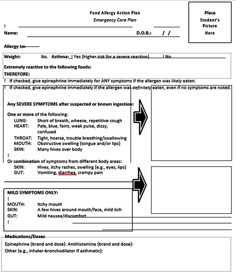 Allergy Action Plan Templates Mous Syusa