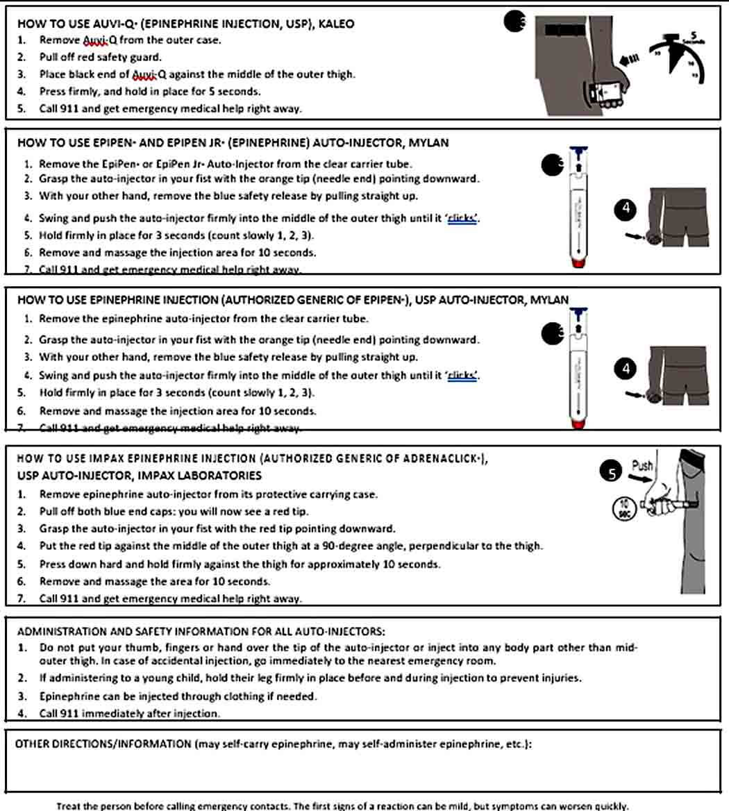 Templates Food Allergy Anaphylaxis Emergency Car