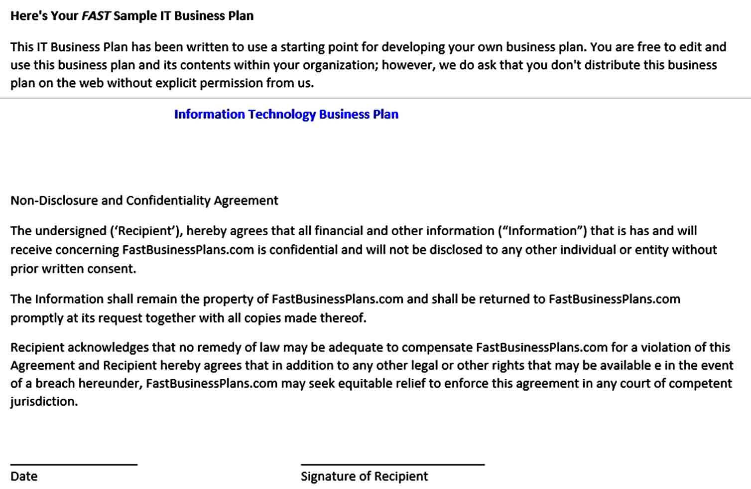 Templates It Business Plan Te