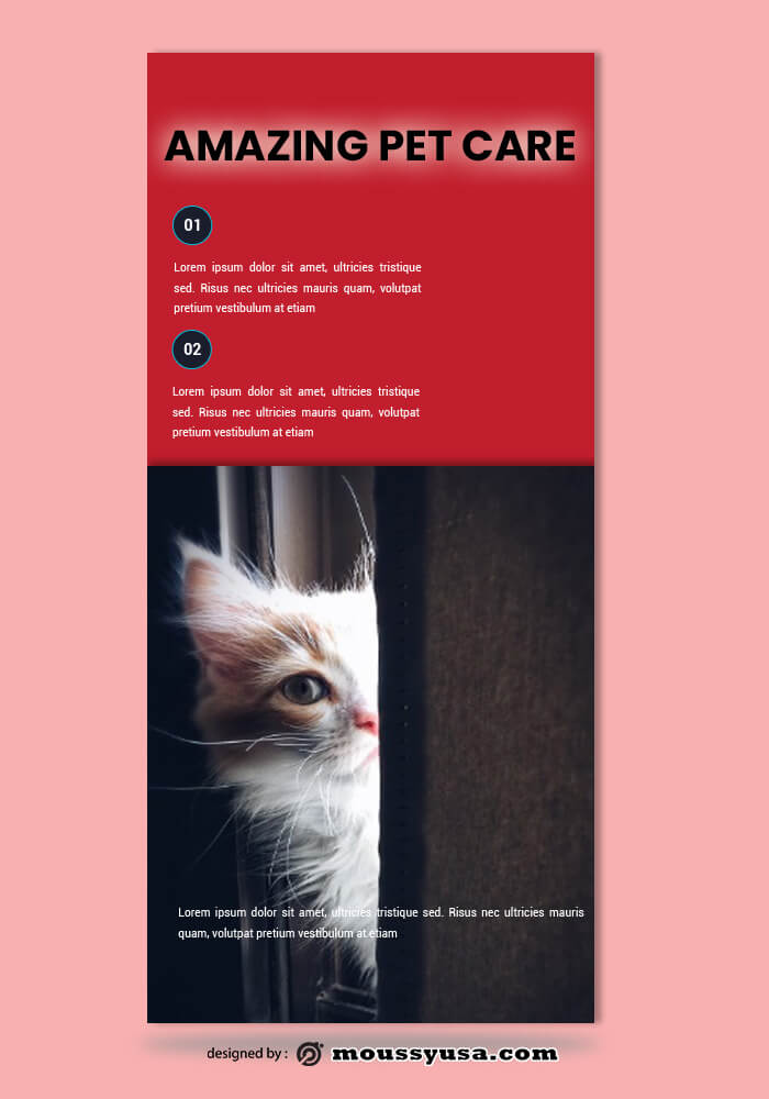 Pet Care Rack Card Template Ideas