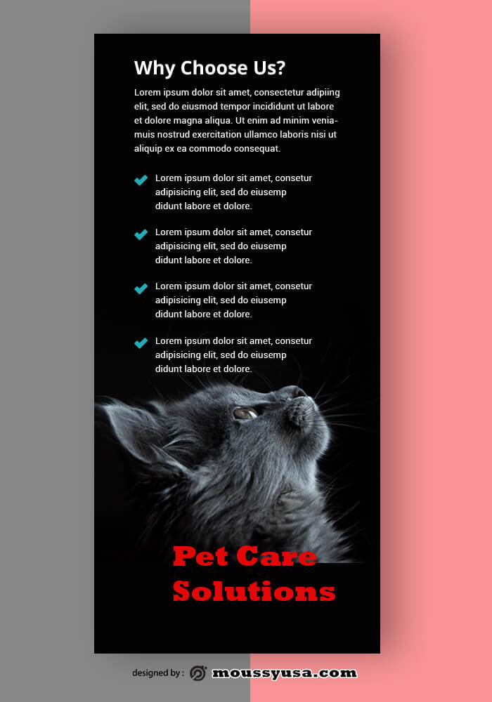 Sample Pet Care Rack Card Template