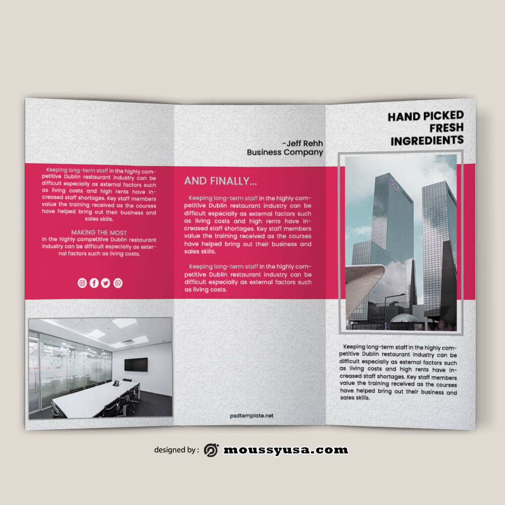 Business Company Brochure templates Design