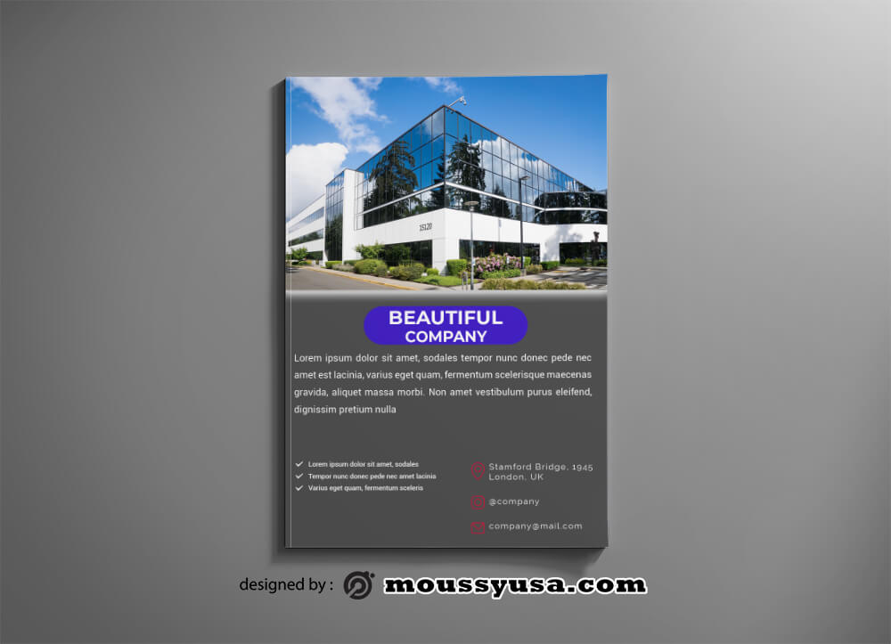 Company Catalog Design PSD