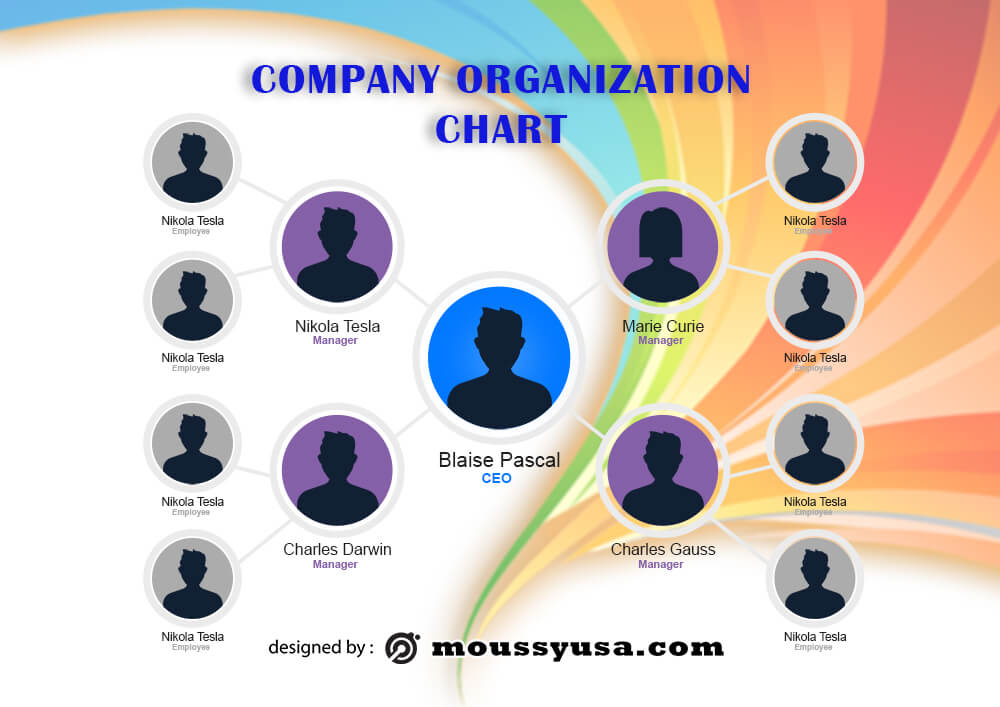 organizational chart example psd design