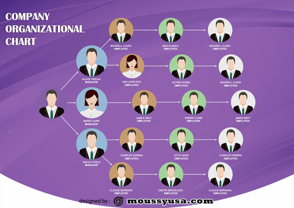 organizational chart free psd template