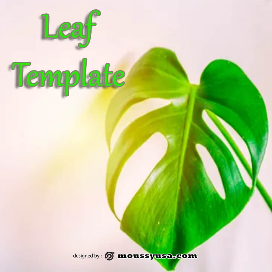 10 Leaf Template Example Psd Design Mous Syusa