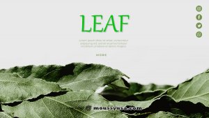 leaf template in psd design